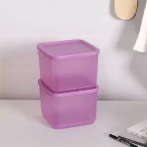 타파웨어 싱싱블록 1L 2P no.527 밀폐 식재료 냉장고용기 반찬통 이유식통 소분용기 간식 도시락통