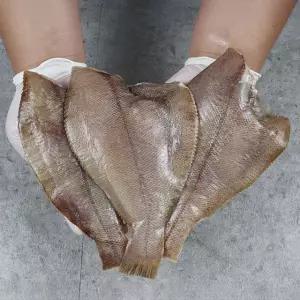 구룡포 반건조 알배기 가자미 특대 1kg