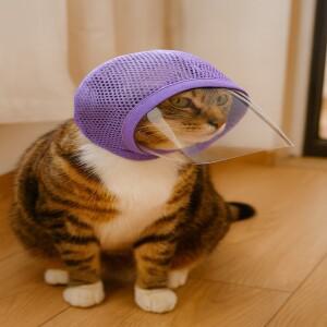 고양이 마스크  사이즈 수술 후 무작위로 먹기 방지 핥기  페이스마스크