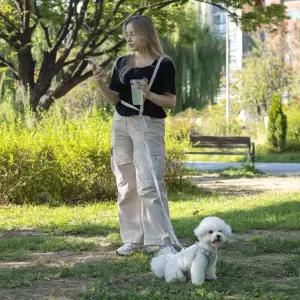 올지 세이프 핸즈프리 리드줄 충격흡수 강아지 산책줄 소형견 중형견 대형견 런닝 리쉬 허리 크로스형