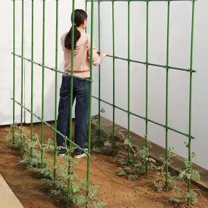 장미 토마토 포도 지주대 오이 덩굴 덩쿨 결속기 정원