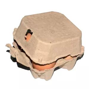 비누 포장용기 답례품 홀더 쿠키 황색 EM16 4구 계란종이케이스 달걀박스