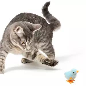 강아지 고양이 움직이는 병아리 태엽 장난감