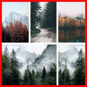 자연 산 안개가 자욱한 녹색 숲 캔버스 회화 벽 예술 침실 사무실 거실 풍경 포스터 및 인쇄 사진