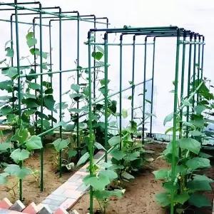 수박 지지대 포도 모종지지대 네트 키우기 대형 넝쿨