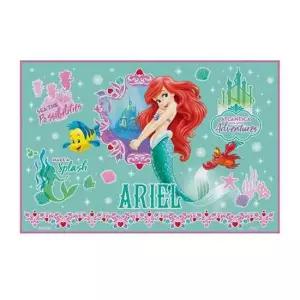 스케이터 1인용 돗자리 휴대용 매트 인어공주22