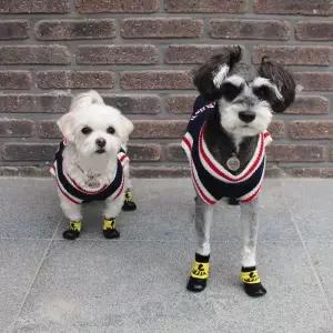 산책용 미끄럼 방지 양말 겸 방수 신발 강아지 애견 3color 장화 소형견