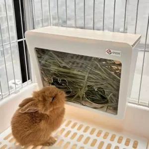 기니피그 급식기 건초통 바구니 화장실 토끼