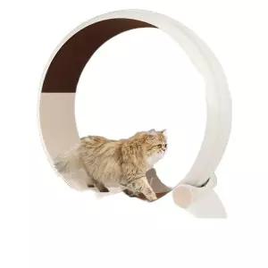 고양이캣휠 고양이운동 쳇바퀴 러닝머신 무소음