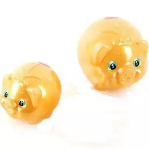 [문구/오피스] 황금 돼지저금통 왕대