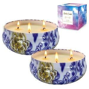 시트로넬라 캔들 야외 및 실내, 13.5온스 향초 세트 가든 파티오 야드 홈 발코니 캠핑 뒷마당용 천연 소이 왁스 2팩