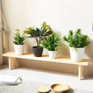 [콩심팥심]화분선반 초대형 화분 받침대 정리대 다육이