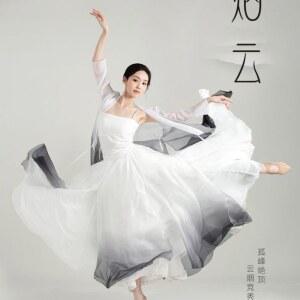 잉크 클라우드 댄스 의상 드레스 고전 및 민족 무대 공연 의상