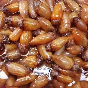 진동 미더덕 미더덕회 1kg