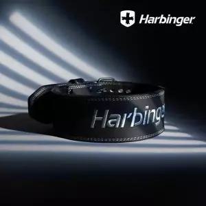 [셀러허브]하빈져 10mm 파워 리프팅용 벨트 D33894 헬스 (S46558852)