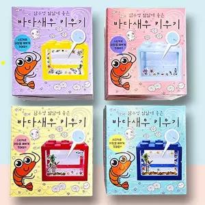 새우 키우기 세트 관상용 바다새우 키우기 관찰학습