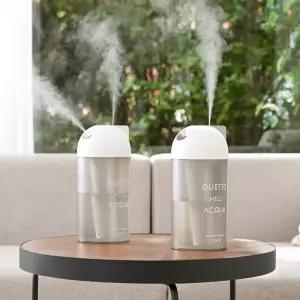 프롬비 1리터 더블미스트 무선가습기 FE243