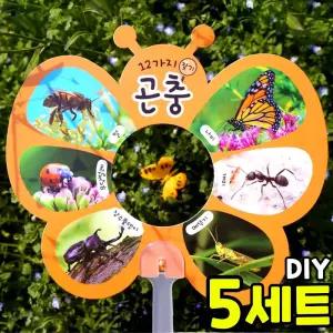 5개묶음 12가지 곤충 관찰 부채 만들기 봄 여름 무당벌레 벌 나비 야외 활동 수업 DIY 세트 키트 교구