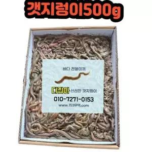 [골드스마일]갯지렁이 낚시 미끼 청개비 낚시 미끼 생물 미끼용 원투 찌낚시