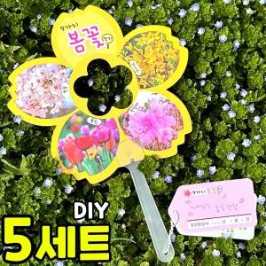 5개묶음 9가지 봄꽃 관찰 부채 만들기 봄 여름 개나리 벚꽃 진달래 야외 활동 수업 DIY 세트 키트 교구