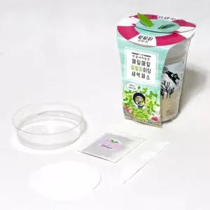 4인용 알팔파 새싹키우기 채소 식물재배 관찰 DIY 유치원 정서안정 원예수업용