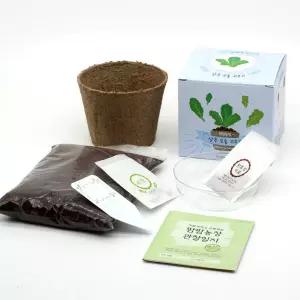 4인용 상추 키우기 화분 모종 재배 싹튀우기 +관찰일지 심리안정 체험키트 봄