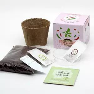 4인용 고추 키우기 화분 모종 재배 싹튀우기 +관찰일지 늘봄교실 봄 체험행사