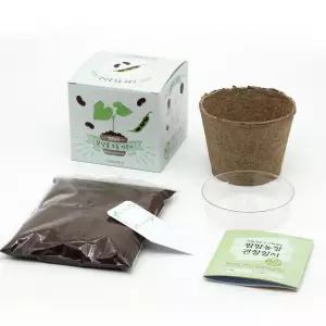 4인용 강남콩 키우기 화분 모종 재배 싹튀우기 +관찰일지 심리안정 호기심발달