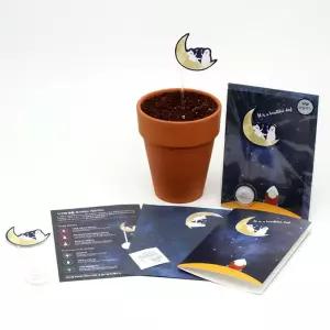 4개 우주 해바라기 씨앗카드 메세지 메모 편지 식물씨앗 강의후활동 만들기재료