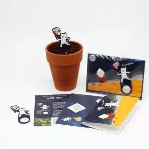 4개 우주 유채꽃 씨앗카드 스틱 메세지 메모 편지 마음전달 키우기 셀프 노인