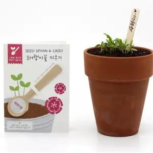 4개 꽃씨앗 스푼 패랭이꽃 학교 홍보 답례품 선물 캠페인 시니어 키우기 관찰용