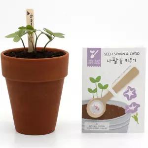 4개 꽃씨앗 스푼 나팔꽃 기념품 답례품 선물 캠페인 원예키트 관찰활동 관공서
