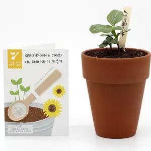 4개 꽃씨앗 숫가락 해바라기 기념품 홍보 답례품 캠페인 화분가꾸기 정서안정