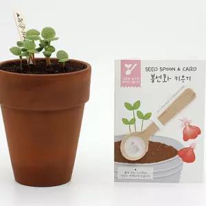 4개 꽃씨앗 숫가락 봉선화 기념품 홍보 답례품 캠페인 체험 문화센터 노인정