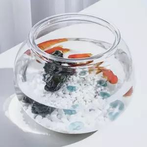 플라스틱 둥근 어항 원형 18X 16cm 구피 베타 키우기 알비노폴 레드 금붕어 미니