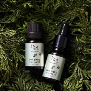 30ml 수 제습 방향 탈취 잎 동해 오일 편백