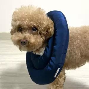브리더 강아지 넥카라 반려견 고양이 목 깔대기 쿠션 목보호대 S