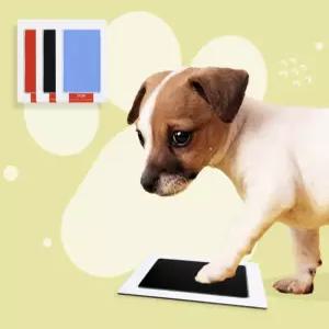 발도장 네모 프린팅 고양이 석고 백일 선물 보관 반려동물 키트 백년 손바닥