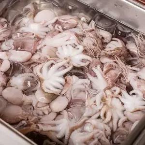 [NS홈쇼핑]손질 냉동쭈꾸미200g x 2팩(팩당6미)[35760845]