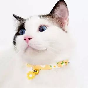 반려묘 반려견 패션 꽃목줄 인식표 펫 방울목걸이 동물 방울목걸이