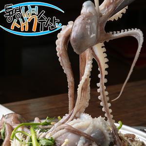 통영 산낙지(중낙지) 3마리(600g내외)/낙지볶음/연포탕/탕탕이/보신용