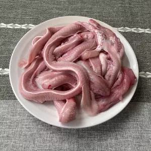 부산 생물 꼼장어 1kg(손질 후 580g내외) 소스제공