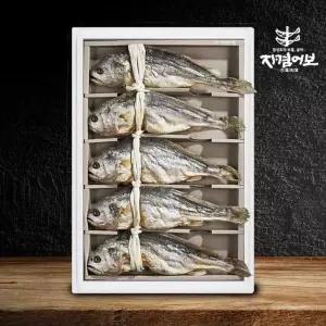 갤러리아 [자겸어보]부세보리굴비 실속세트 5미(28cm내외)영광법성포