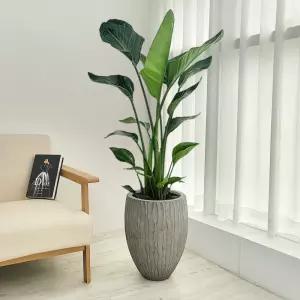 농원청년 웨이브 고급 개업화분 전시회 호텔 로비 메인 공간 플랜테리어 인테리어식물 거실 개업식 축하화분배달 