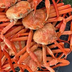 [식탁이야기] [포항산지직송] 바로먹는 AA급 당일자숙 박달 홍게 6kg(15미-18미)