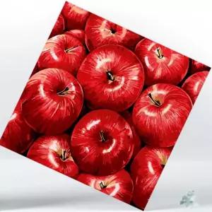 별하샤인 DIY 페인팅 캔버스 행운의 홍사과 25X25 인테리어명화 유화색칠하기 그림페인팅