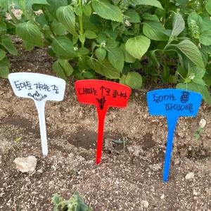 (27cm) 화단 화분 일자형 식물 이름표 팻말 27cm 꽃 수목표찰 픽/원예/플라워/나무/네임택/라벨/태그/수목