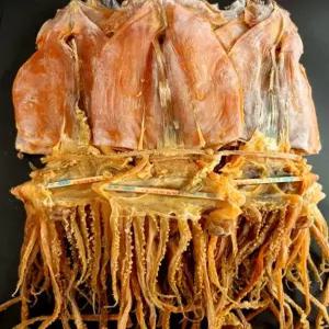 울릉도 태하 강원도 당일바리 마른오징어 쫄쫄이초콜릿오징어 (5마리/10마리) 진공포장가능