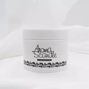 아로마스켄들 고체 탈취제 250g x2개 클린 코튼향/실내 차량 화장실 홀애비 초강력 냄세제거