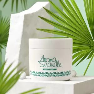 아로마스켄들 고체 탈취제 250g x2개 딥포레스트향/실내 차량 화장실 홀애비 초강력 냄세제거